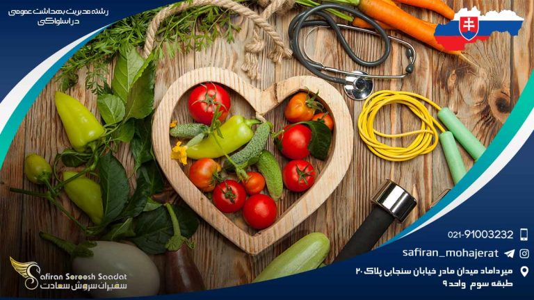رشته مدیریت بهداشت عمومی در اسلواکی