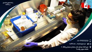 رشته ایمنی شناسی در کانادا