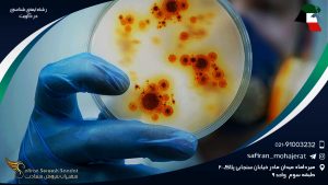 رشته ایمنی شناسی در کویت