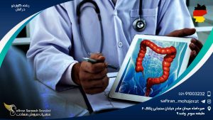 رشته گوارش در آلمان