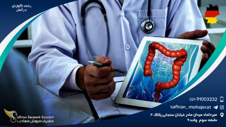 رشته گوارش در آلمان