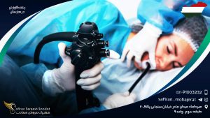 رشته گوارش در مجارستان