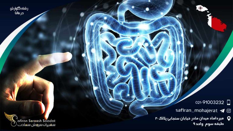 رشته گوارش در مالتا