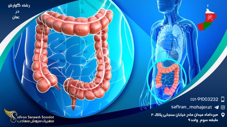 رشته گوارش در عمان