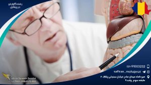 رشته گوارش در رومانی