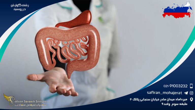 رشته گوارش در روسیه
