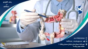 رشته گوارش در اسکاتلند