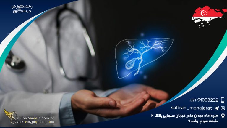 رشته گوارش در سنگاپور