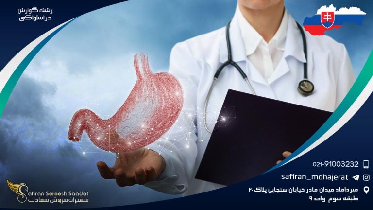 رشته گوارش در اسلواکی