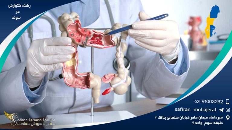 رشته گوارش در سوئد