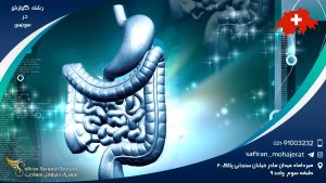 رشته گوارش در سوئیس