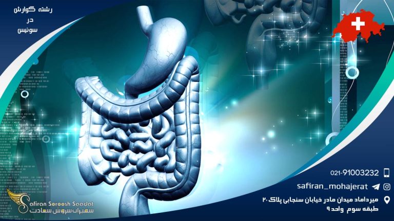 رشته گوارش در سوئیس
