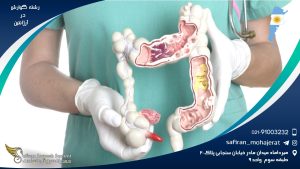 رشته گوارش در آرژانتین