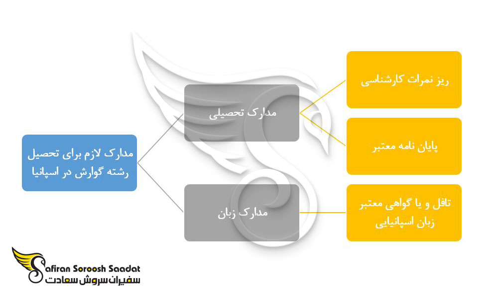 الزامات تحصیل رشته گوارش در کشور اسپانیا 