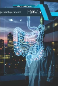 رشته گوارش در هلند