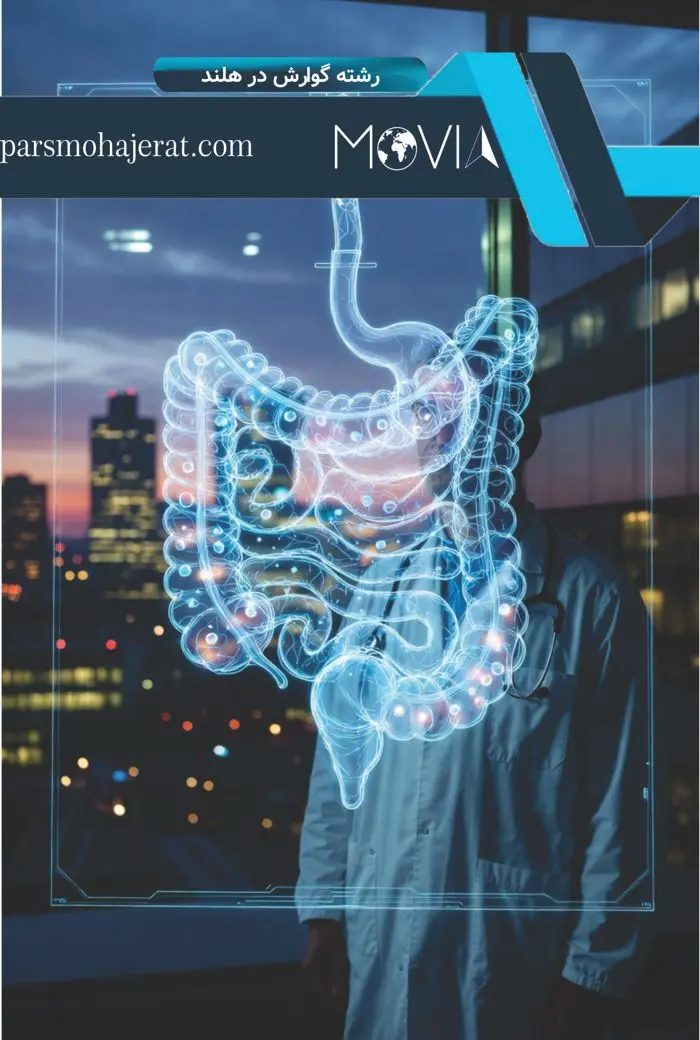 رشته گوارش در هلند