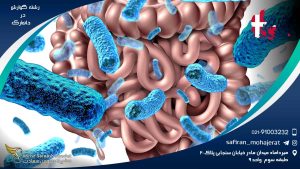 رشته گوارش در دانمارک