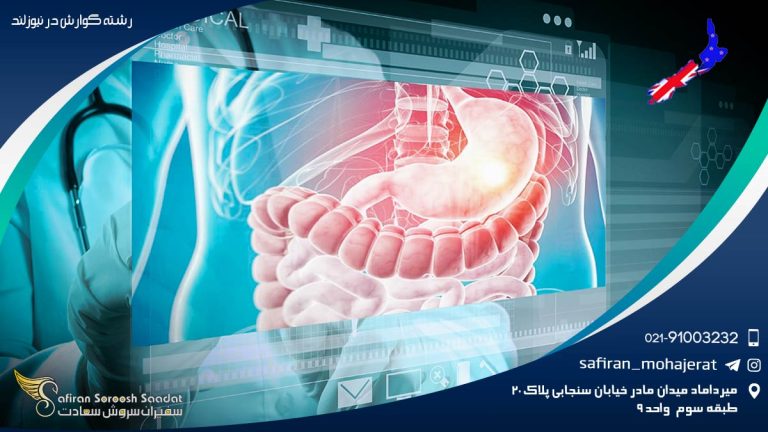 رشته گوارش در نیوزلند
