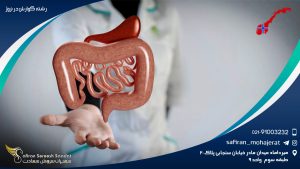 رشته گوارش در نروژ