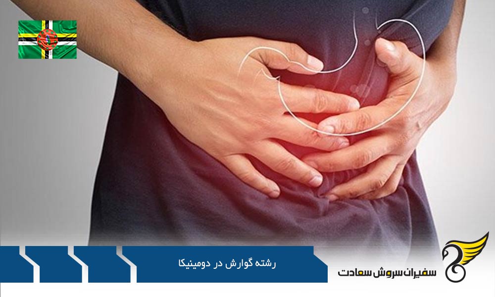 اطلاعات رشته گوارش در دومینیکا