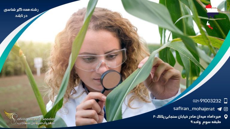 رشته همه گیرشناسی در تایلند