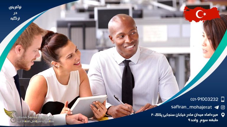 نوآفرینی در ترکیه