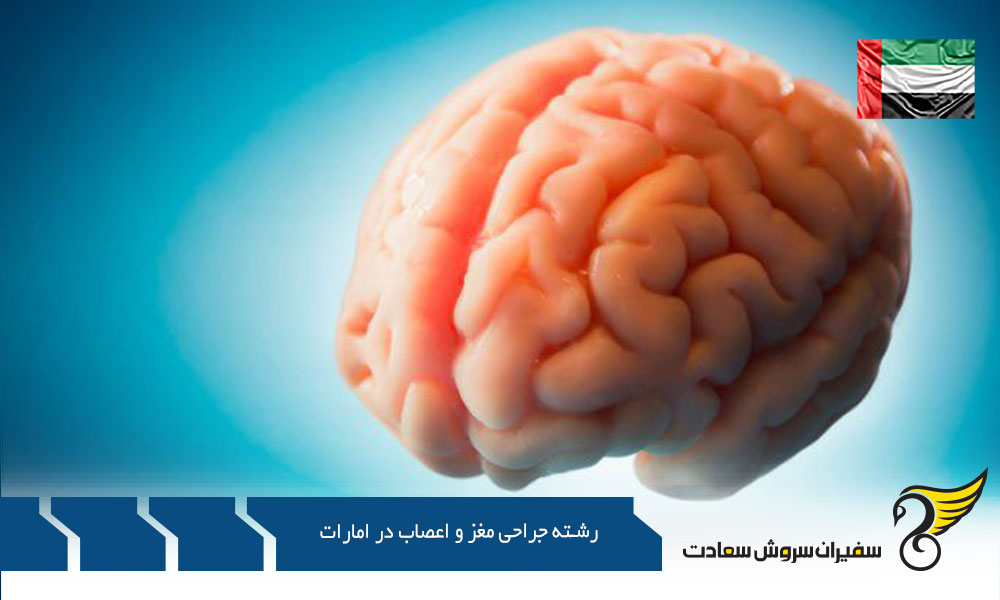 شرایط مطالعه رشته جراحی مغز و اعصاب در امارات