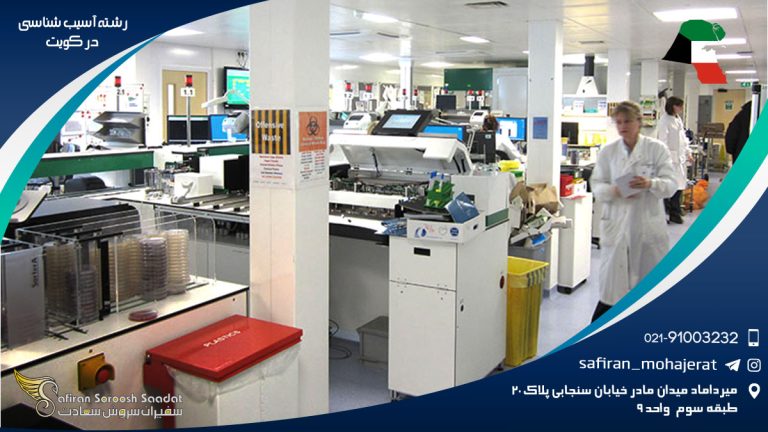 رشته آسیب شناسی در کویت