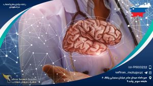 رشته جراحی مغز و اعصاب در اسلوونی