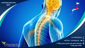 رشته جراحی مغز و اعصاب در ژاپن