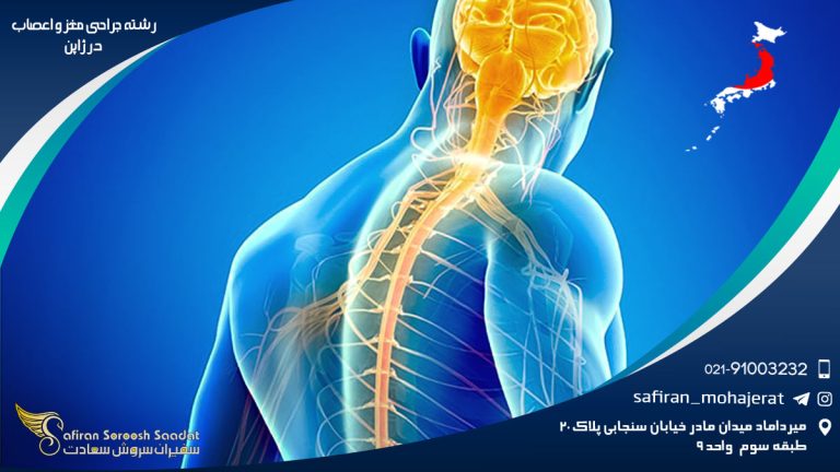 رشته جراحی مغز و اعصاب در ژاپن