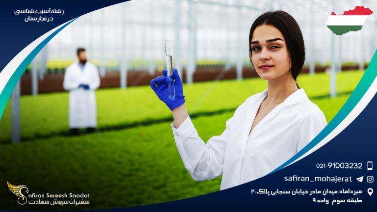 رشته آسیب شناسی در مجارستان