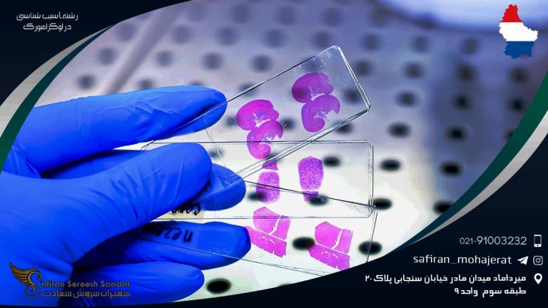 رشته آسیب شناسی در لوکزامبورگ