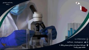 رشته آسیب شناسی در مالتا