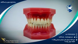 رشته ارتودنسی در اسکاتلند