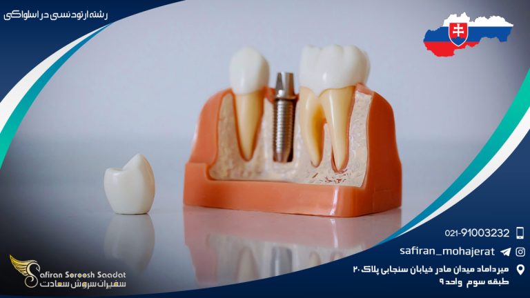 رشته ارتودنسی در اسلواکی