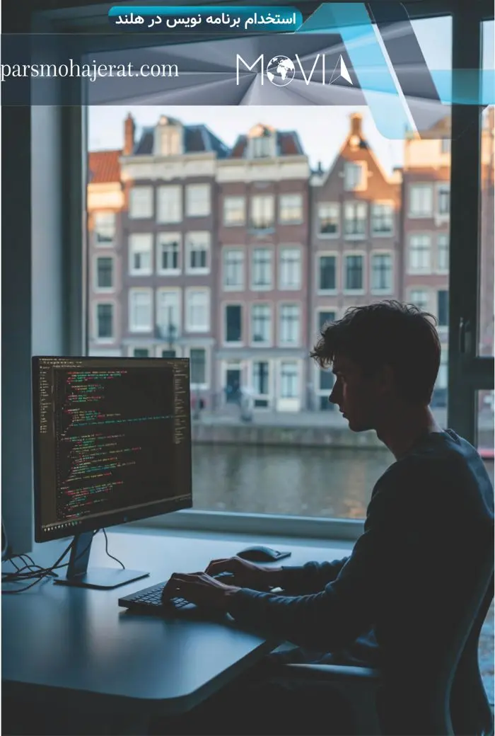 استخدام برنامه نویس در هلند
