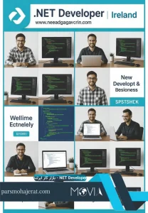 بازار کار رشته NET Developer در ایرلند