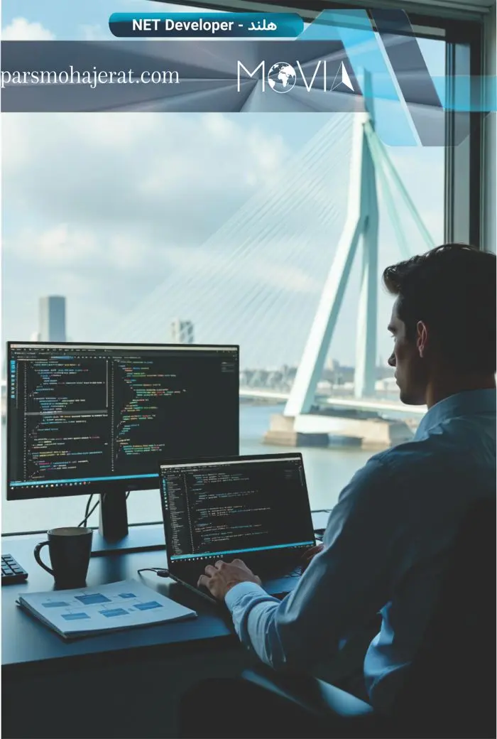 بازار کار رشته NET Developer در هلند
