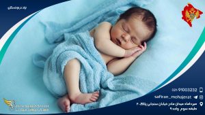 تولد در مونته نگرو