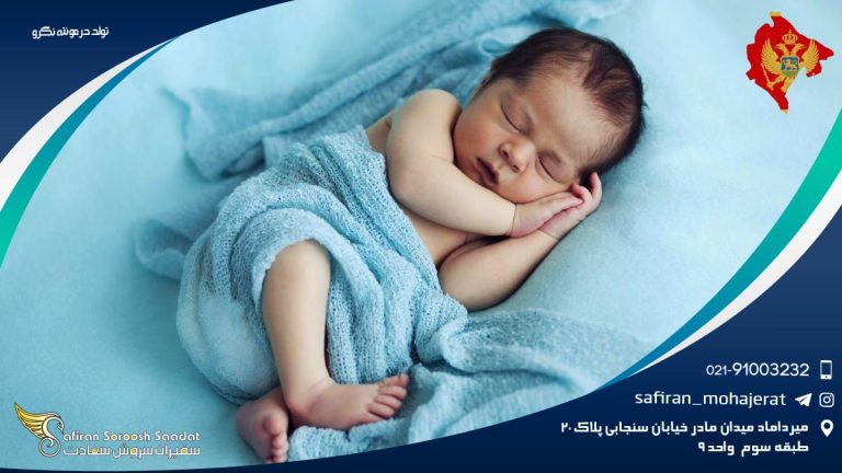 تولد در مونته نگرو