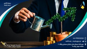 سرمایه گذاری در سنت لوسیا