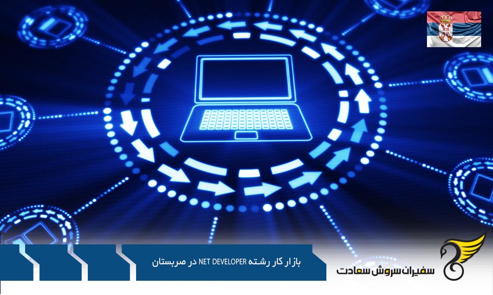 نقش دولت الکترونیک در بازار NET Developer در صربستان