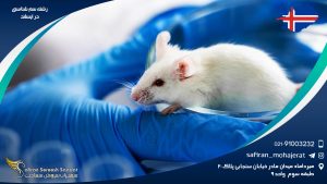 رشته سم شناسی در ایلسند