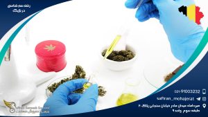 رشته سم شناسی در بلژیک