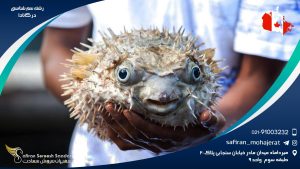 رشته سم شناسی در کانادا