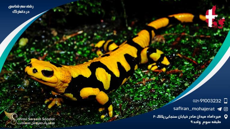 رشته سم شناسی در دانمارک