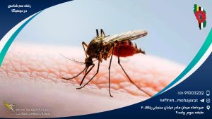 رشته سم شناسی در دومینیکا