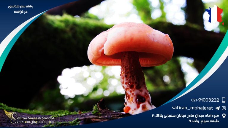 رشته سم شناسی در فرانسه