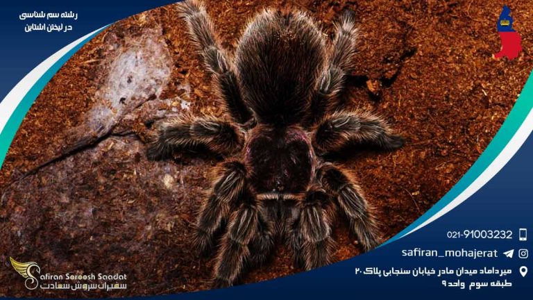 رشته سم شناسی در لیختن اشتاین